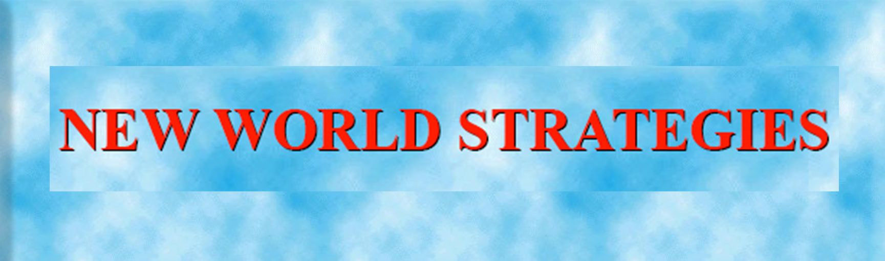 New World Strategies
